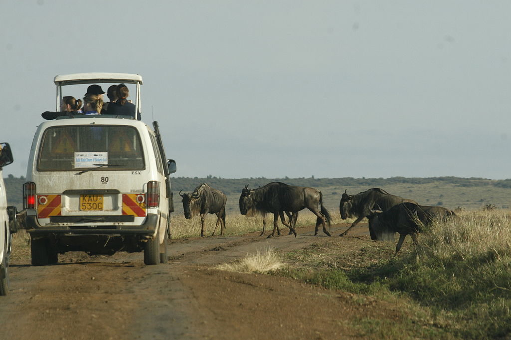 Safari en Afrique : 2 destinations à ne surtout pas manquer