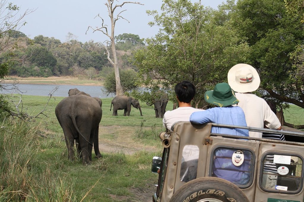 Le Sri Lanka, un pays réputé pour ses réserves naturelles