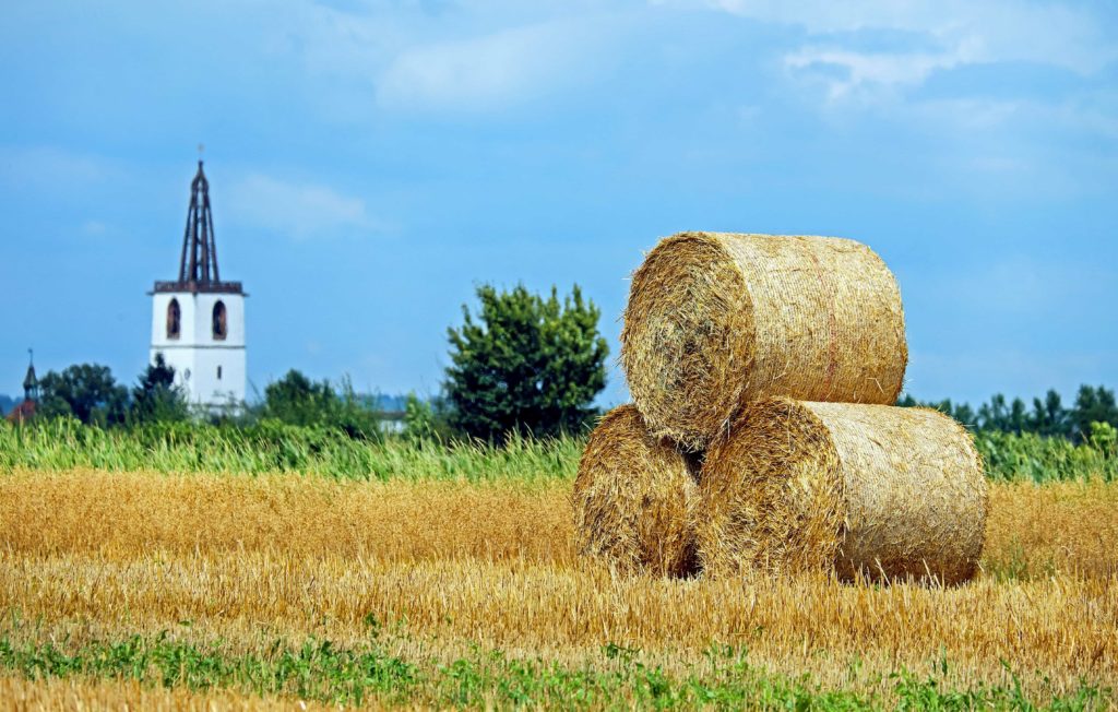 nature du paillé