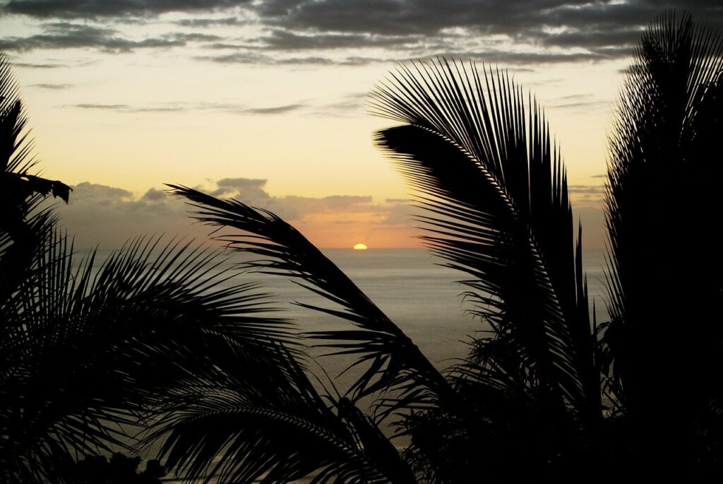 Voyage en Réunion