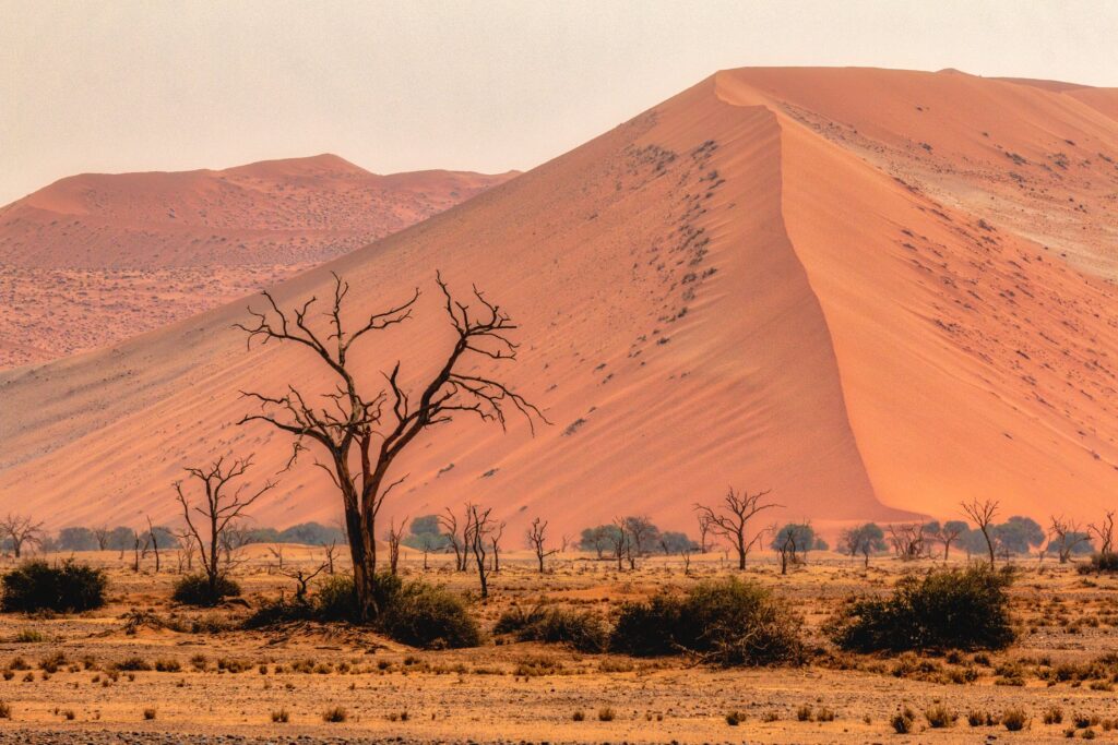 voyage en Afrique